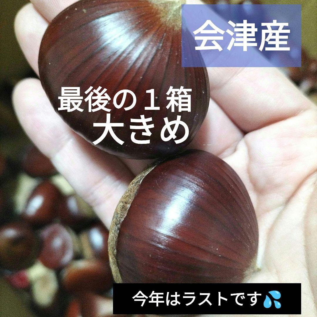 165. 栗　【大きめ】800ｇ　生栗　無農薬栽培
