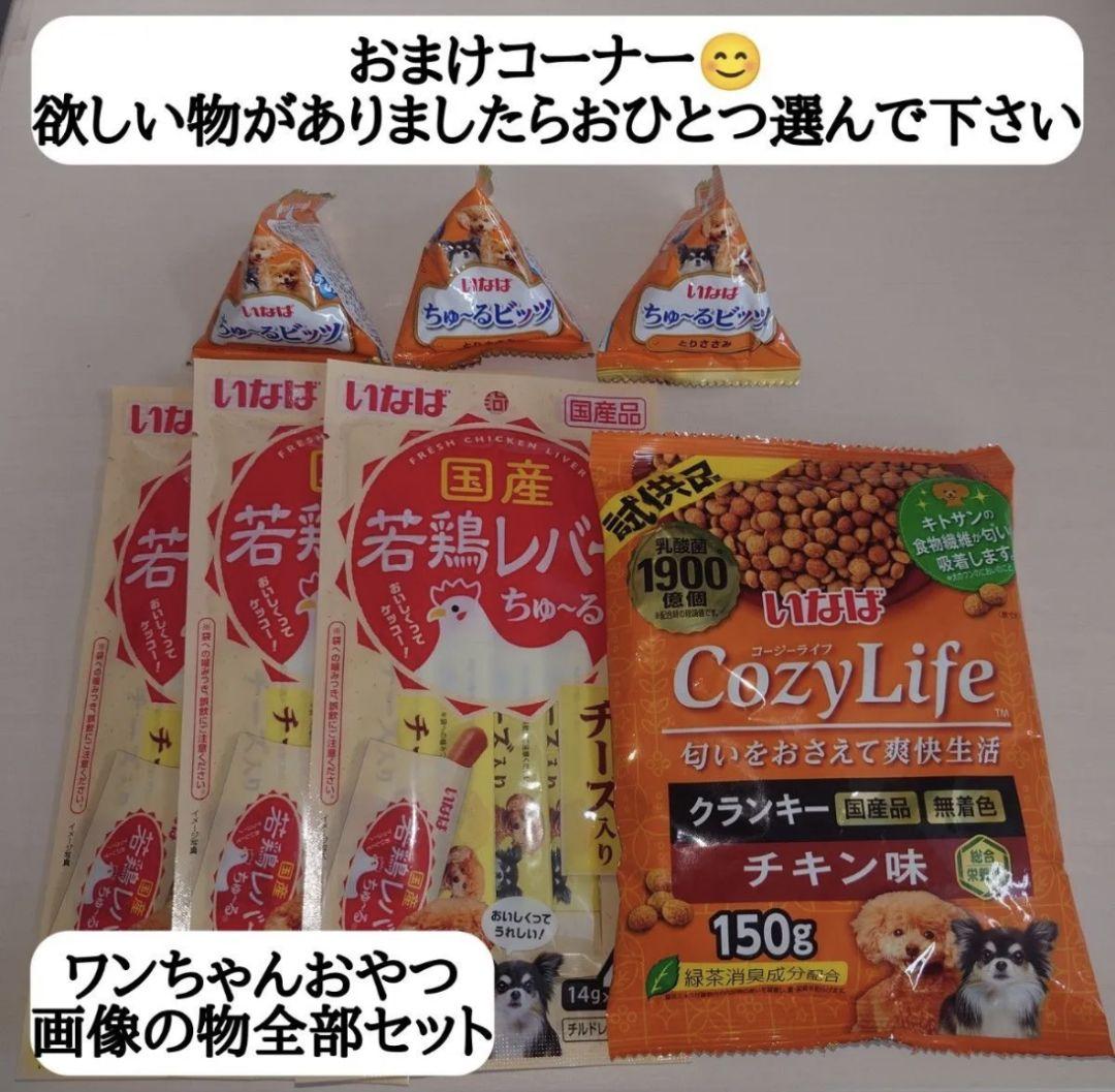 ★500円引きもあります★フィルター＆ノズルカスタム仕様 FOAMKING