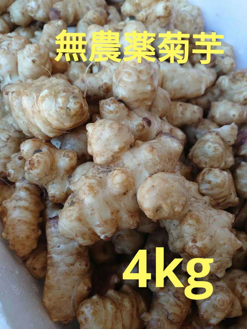 無農薬菊芋4kg　キクイモ