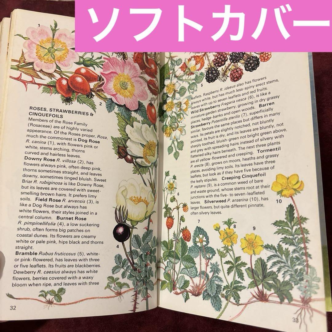 ❤️定番①❤️イギリス植物図鑑 洋書古書 ボタンニカルアート