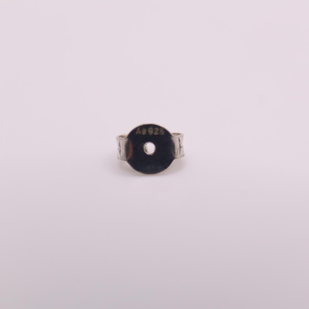 ピアス ポーチ