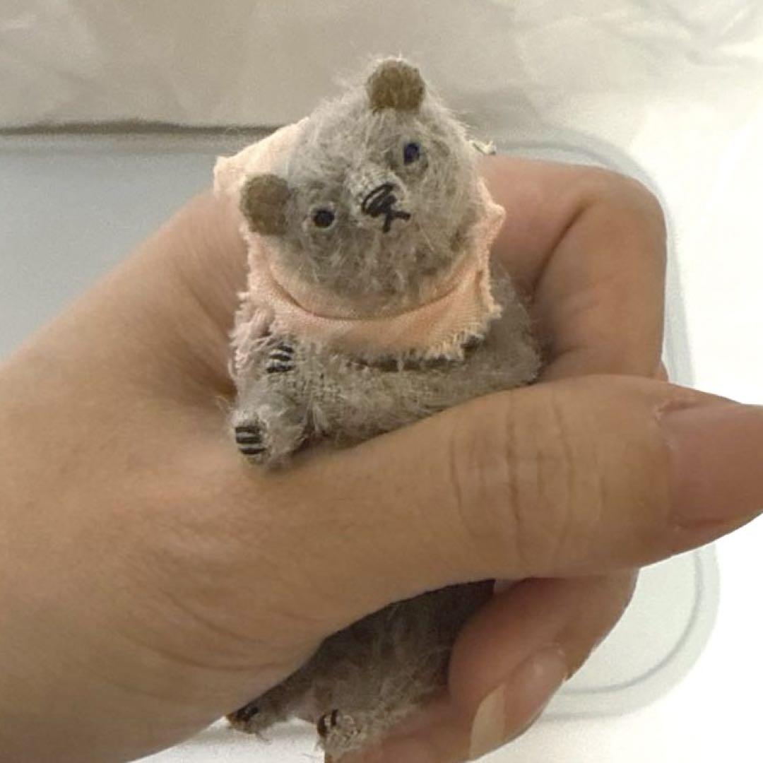 国内人気作家様 HARUBEAR ちいくた ベア 携帯容器付き