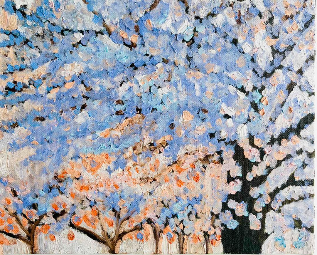 22×27㎝「朝の桜　2025.1-1」油彩・原画・F3