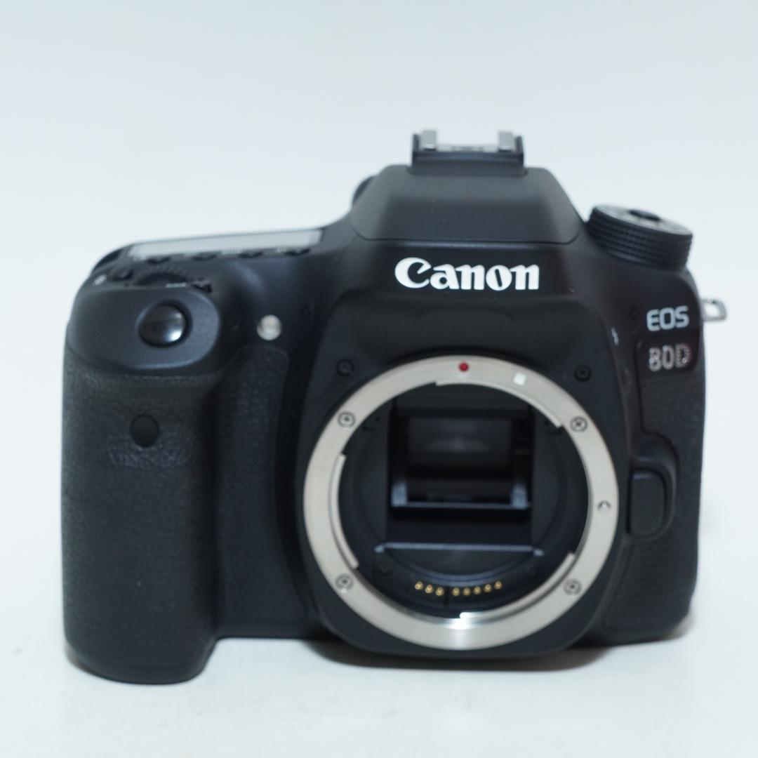 Canon キャノン EOS 80D レンズセット