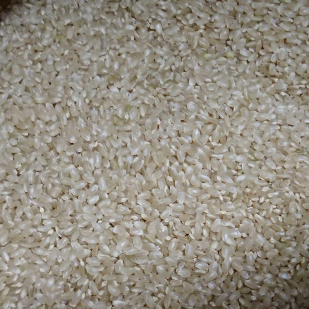 1等米 令和6年産 新米 新潟 魚沼産コシヒカリ✨ 5kg 1袋 玄米 米農家
