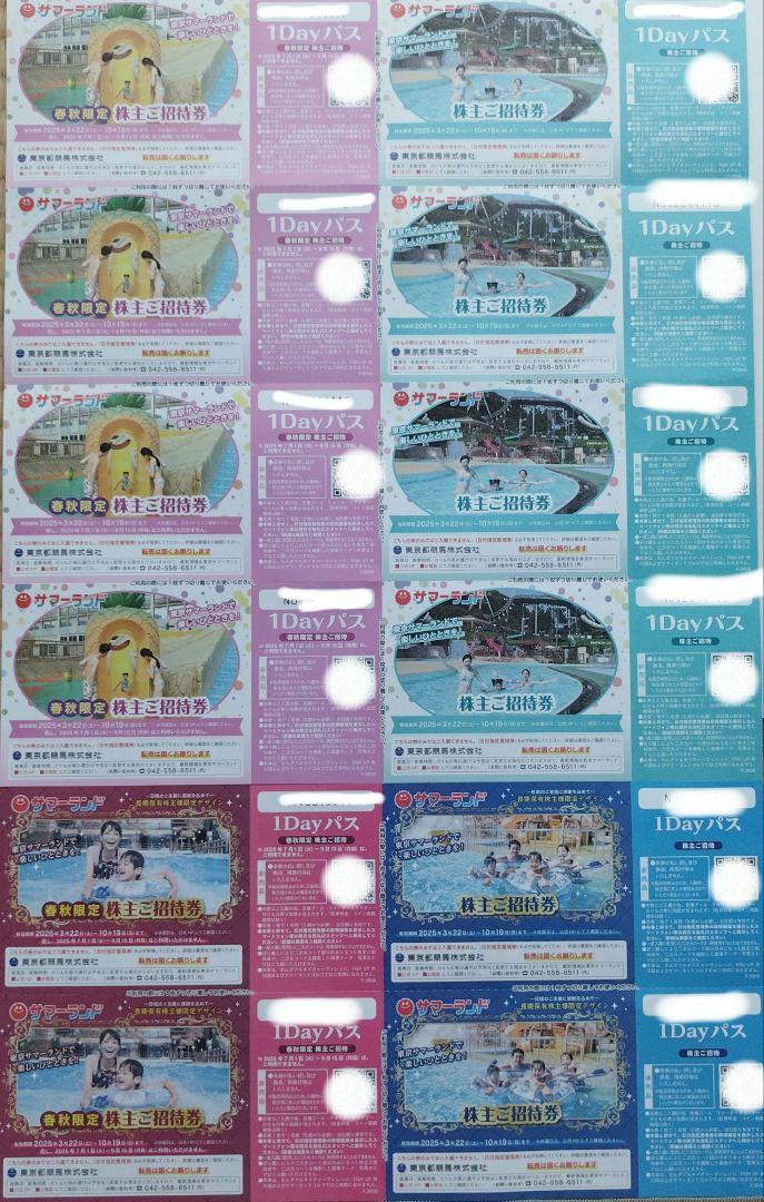 東京都競馬株主優待券　サマーランド1DAYパス12枚セット