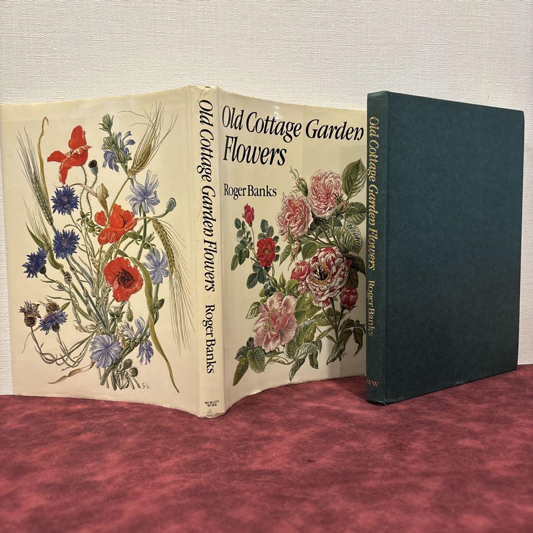 79⑤ビンテージ植物絵 植物図鑑 洋書古書 ボタンニカルアート