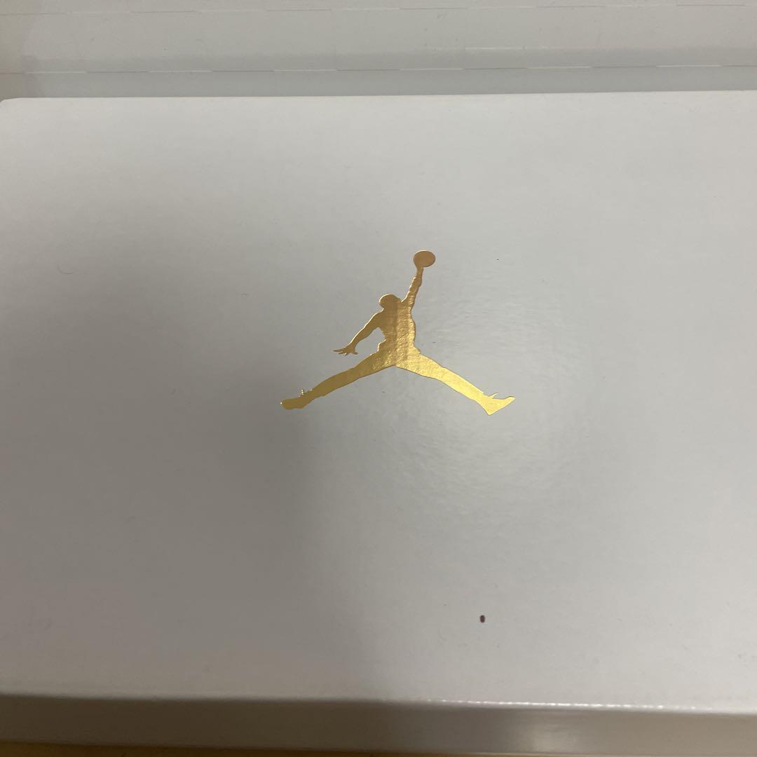 Nike エアジョーダン1 BQ6472-079 25cm