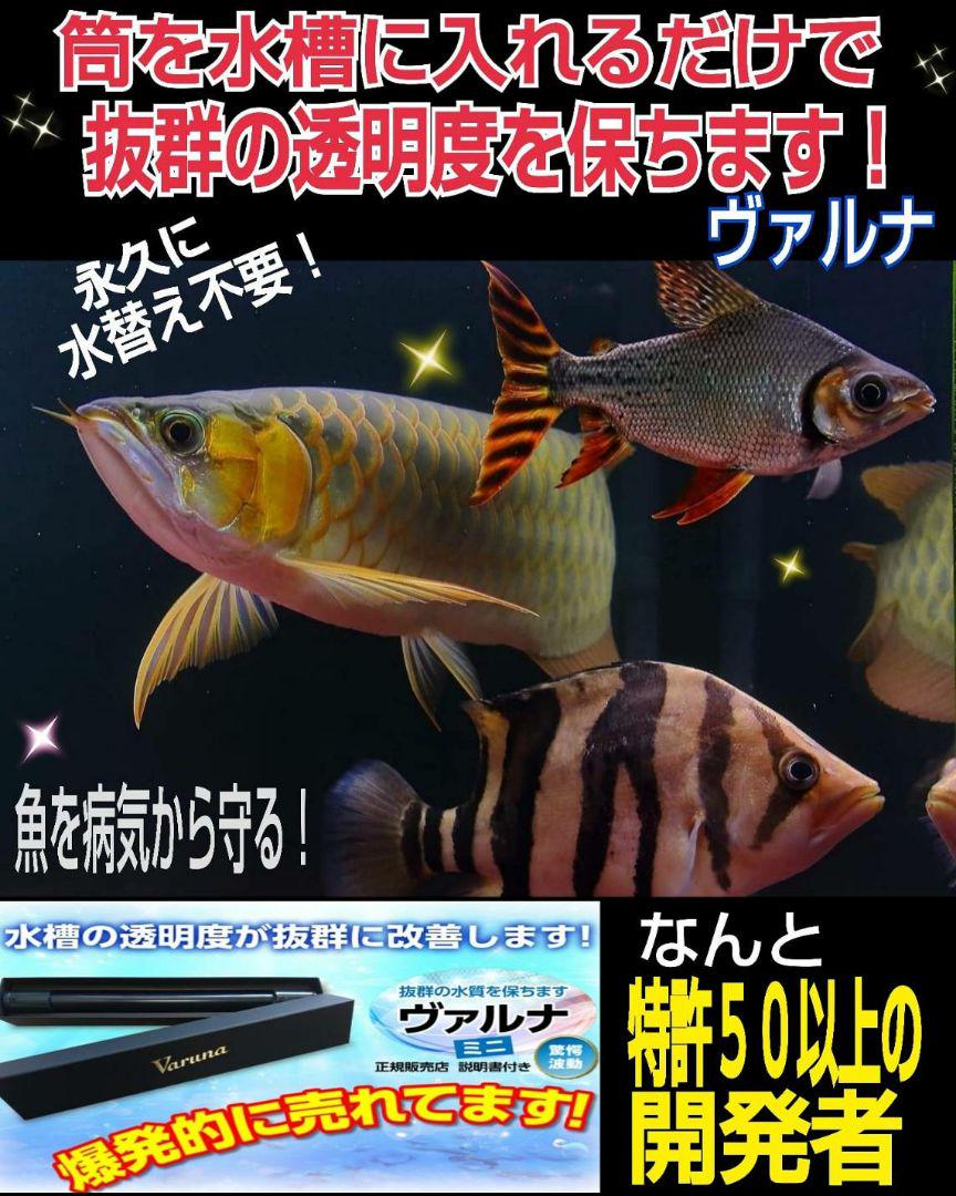 特許50以上の開発者！【ヴァルナ】有害物質を強力抑制し透明度が抜群になります！