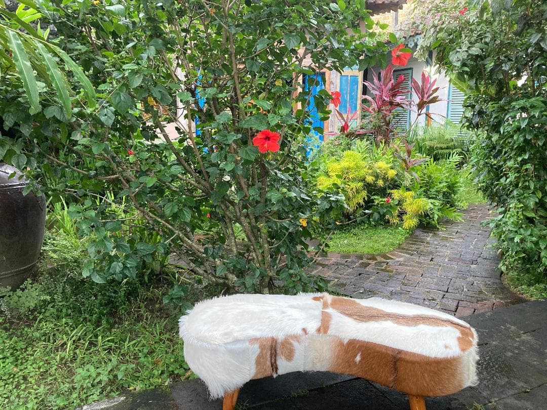 タイムセール!】 【緊急値下げ!!】二人掛け☆バリ☆アジアン雑貨