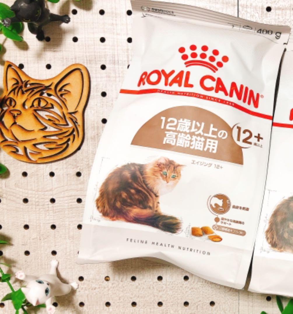 開店記念セール ロイヤルカナン キャット エイジング 12 400g Dprd Jatimprov Go Id