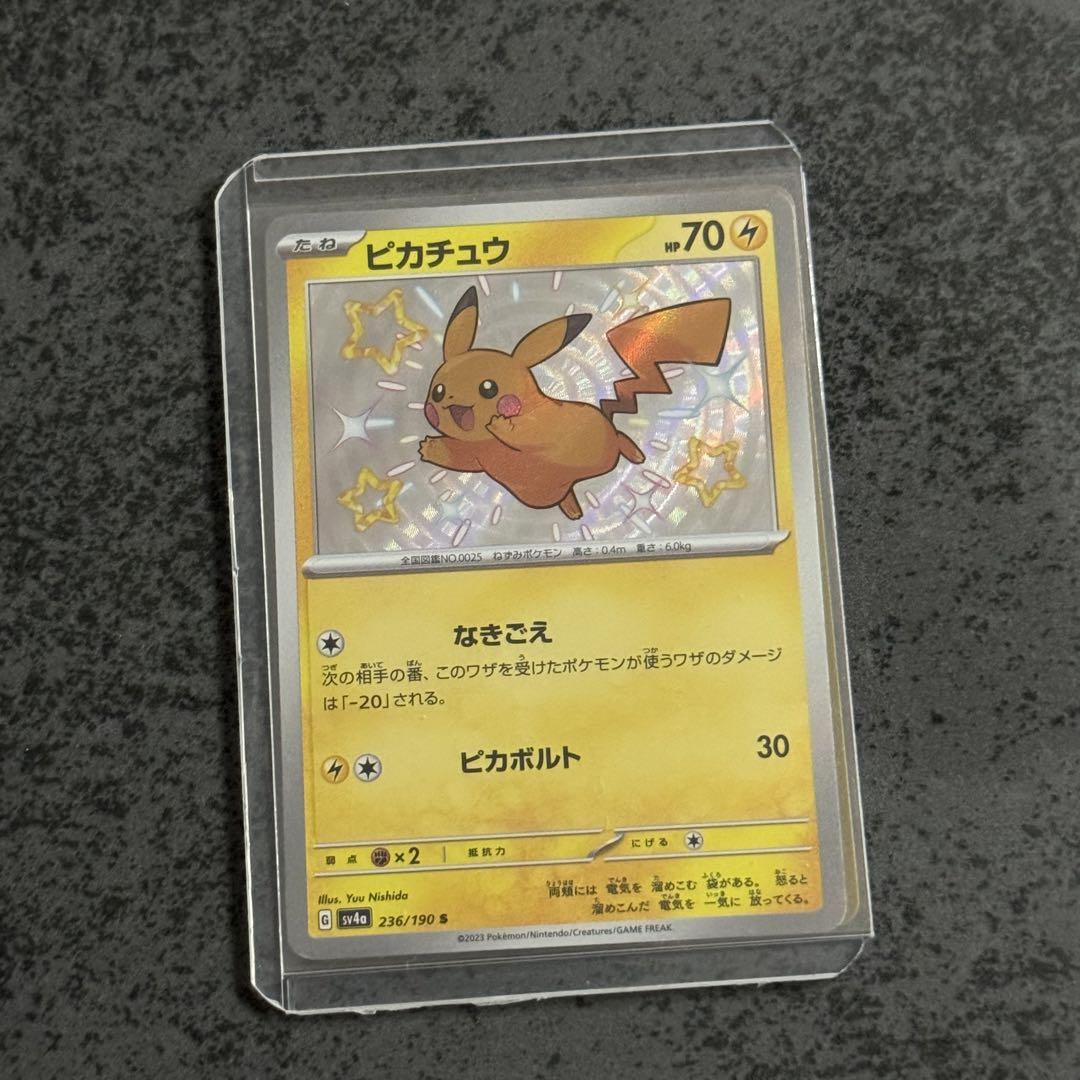 ピカチュウ ライチュウ 色違いセット - メルカリ