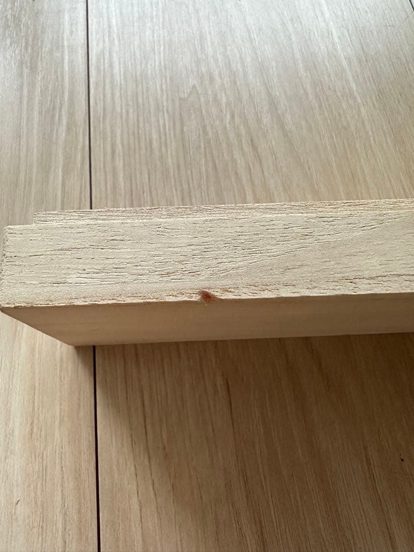 今年も大人気！ CHRISTIAN DIOR 扇子 収納ケース付きChristian Dior