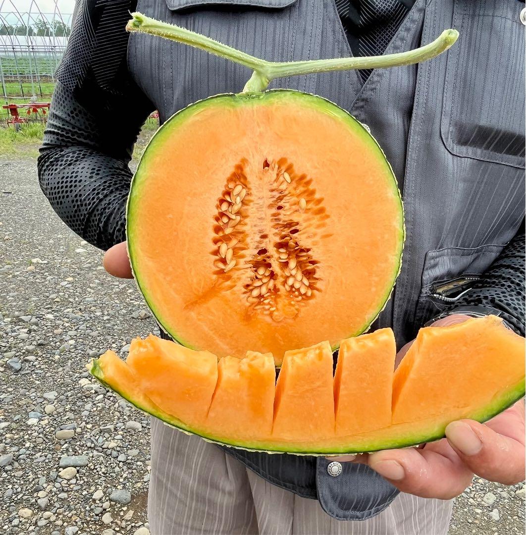 お得なキャンペーンを実施中 北海道赤肉メロン大箱 2 Www Anavara Com