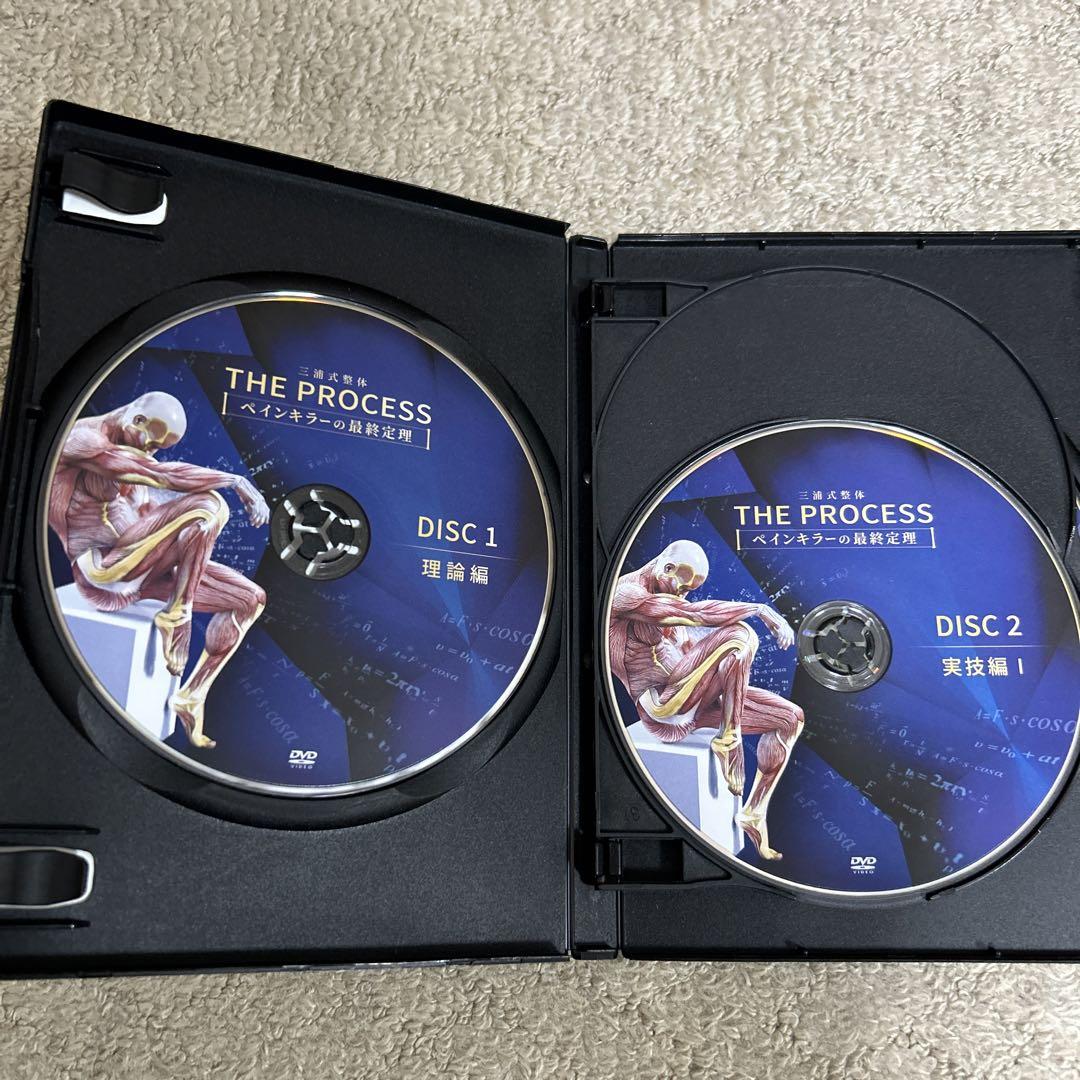 ＴＨＥ　ＰＲＯＣＥＳＳ　ペインキラー最終定理　三浦式整体