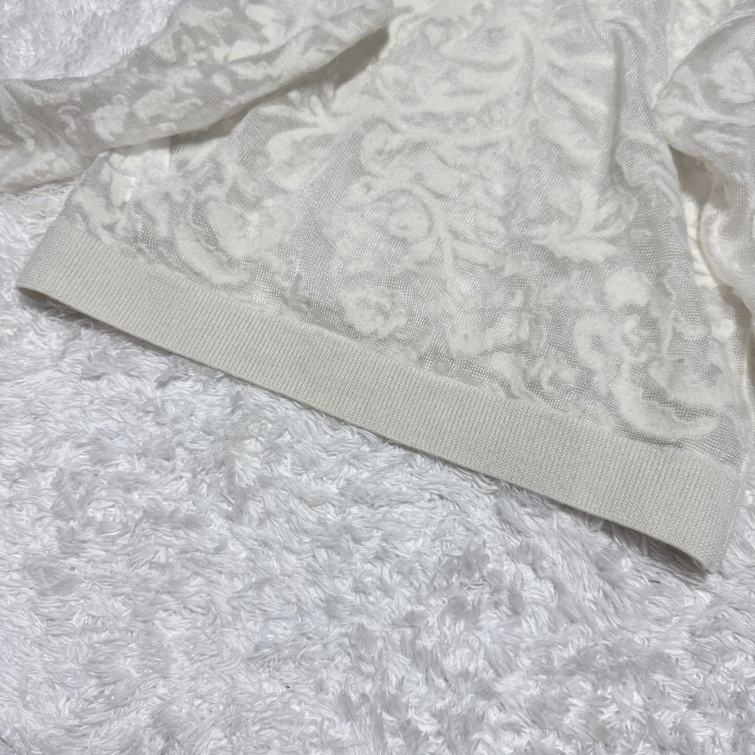 AMERI VINTAGE DEVORER FLOWER SHEER TOP