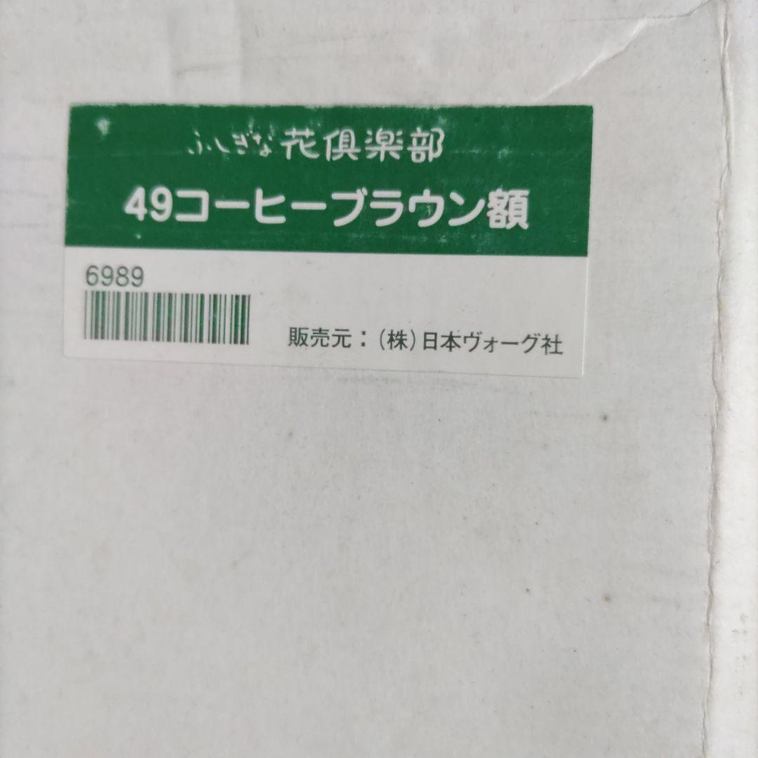 押し花アート額　額縁　額【 タテ46.5cm×ヨコ55cm 】