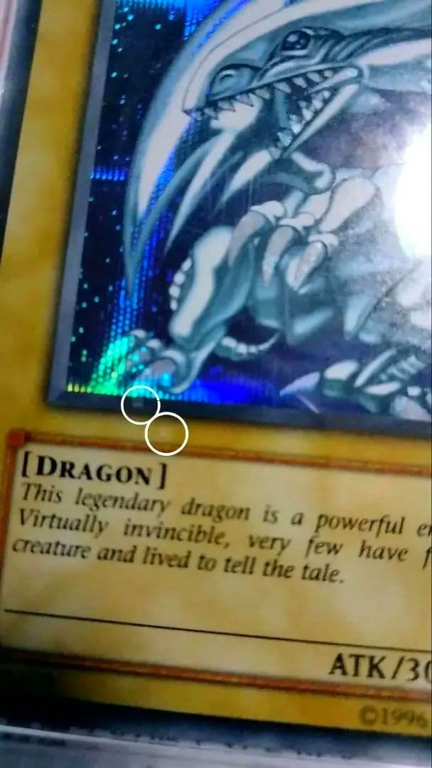 確認用 DDS ブルーアイズ PSA8