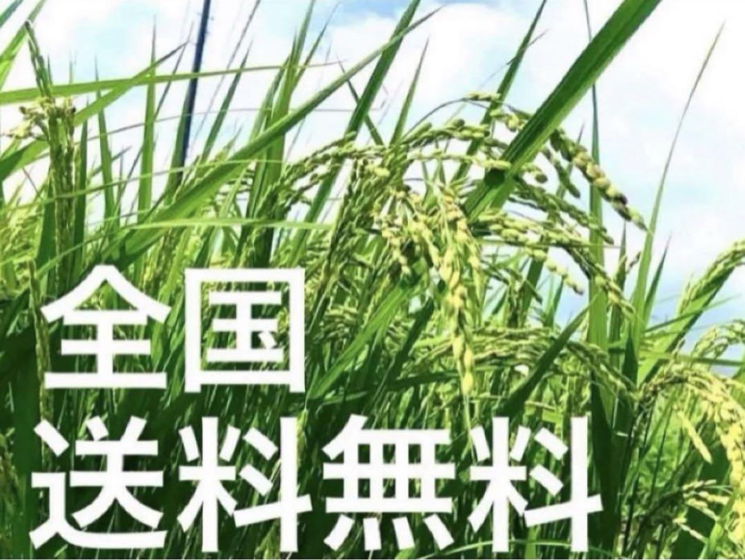農薬不使用・化学肥料不使用・無添加・有機・光色彩選別✳️新米✳️ハツシモ20キロ