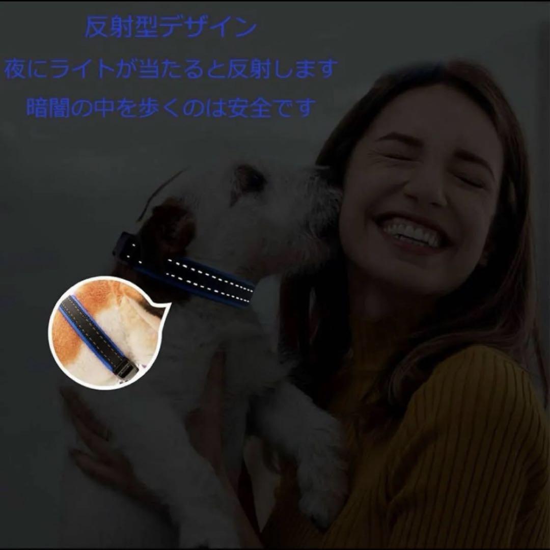 犬用首輪