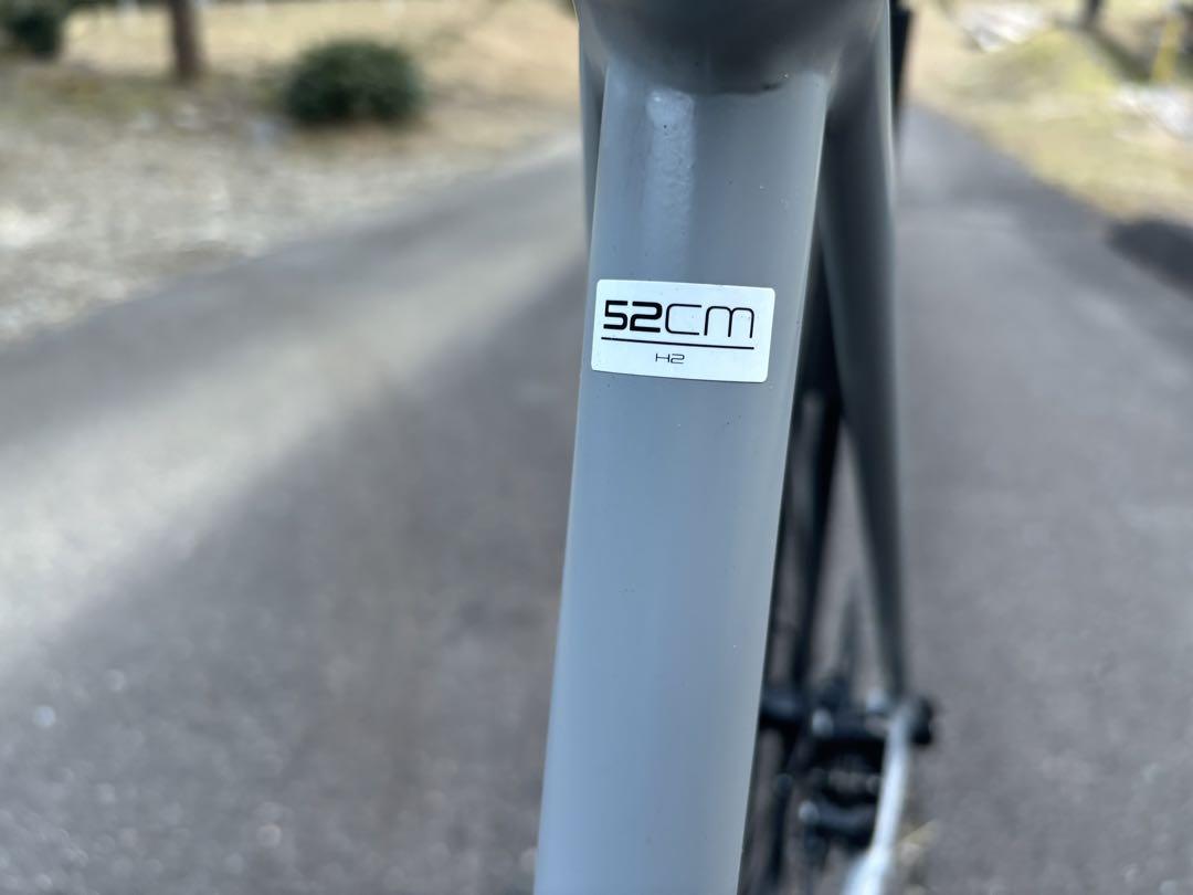 DISC 2019