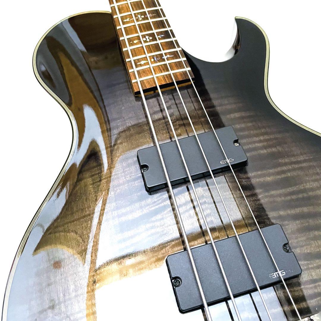 【希少】Schecter シェクター DAMIEN ELITO-4 エレキベース