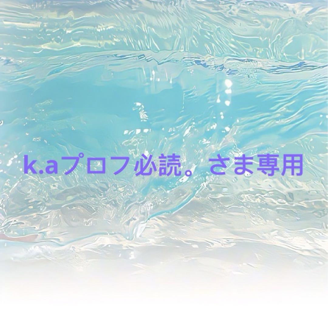 k.aプロフ必読。さま専用
