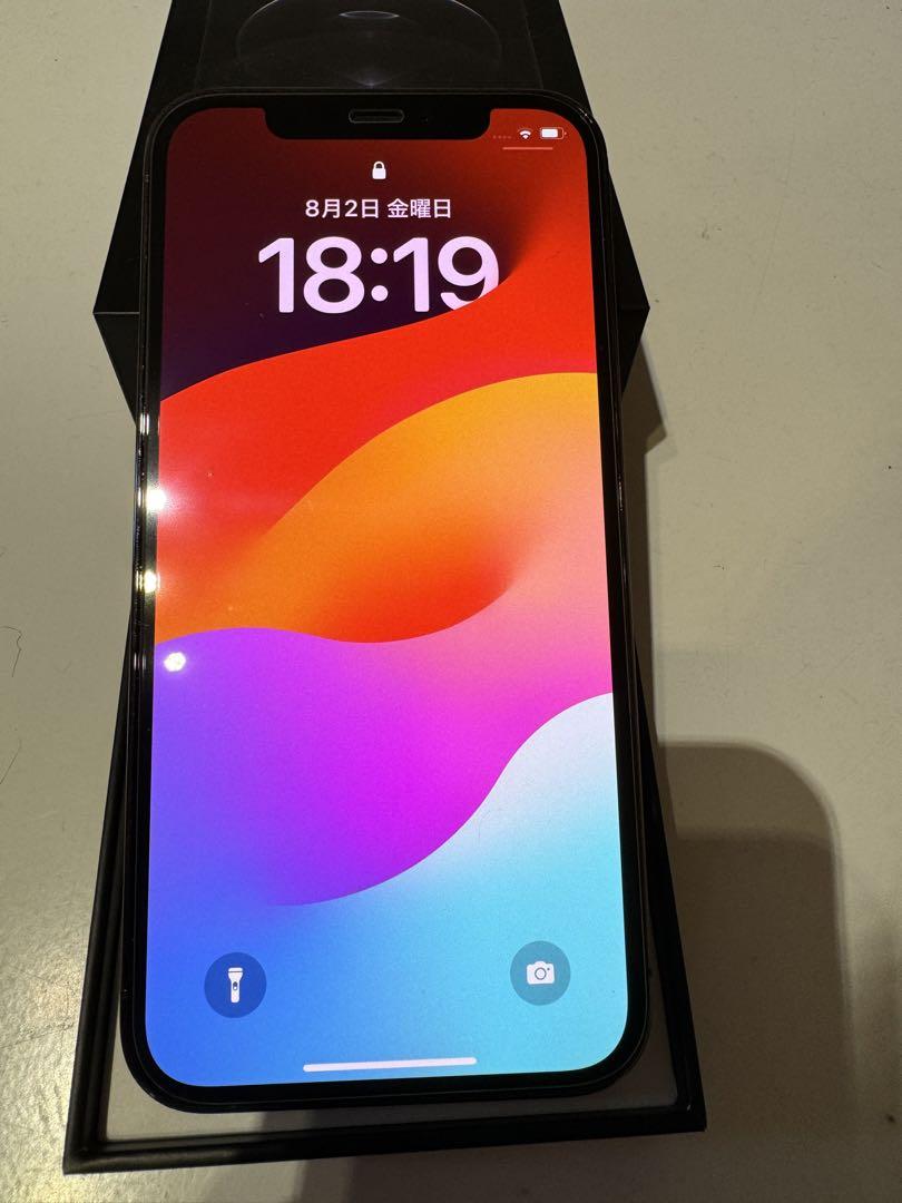 香港版 SIMフリー iPhone 12 Pro Max 256GB スマートフォン本体