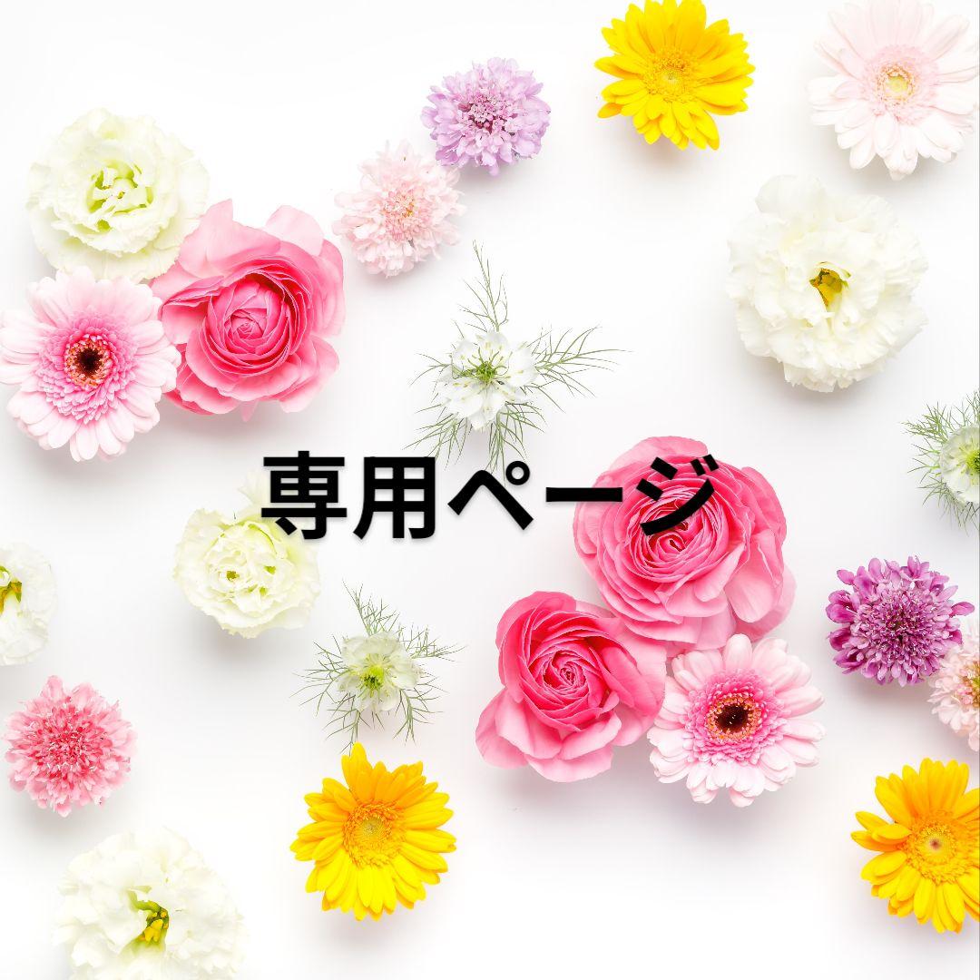 えりちぃ様 リクエスト 2点 まとめ商品