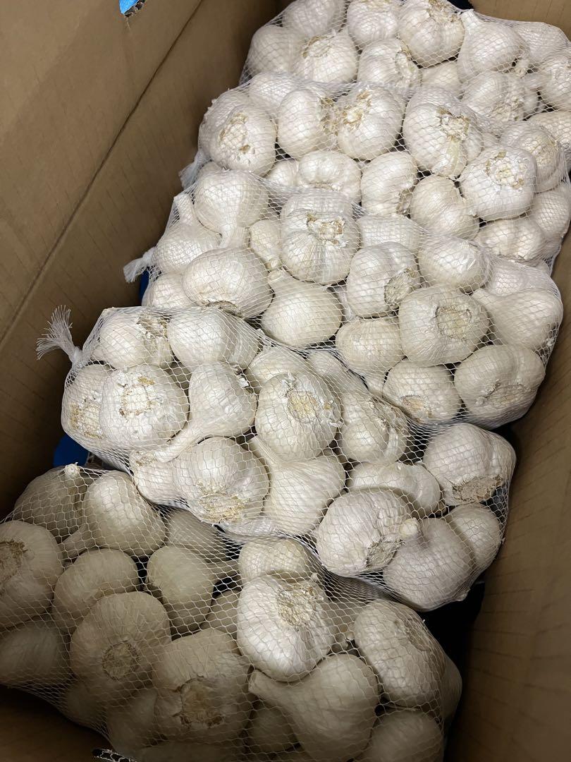 青森県産 令和6年産 にんにく Ｓ　玉 １０ｋｇ 青森県産 令和6年産 にんにく S 10kg