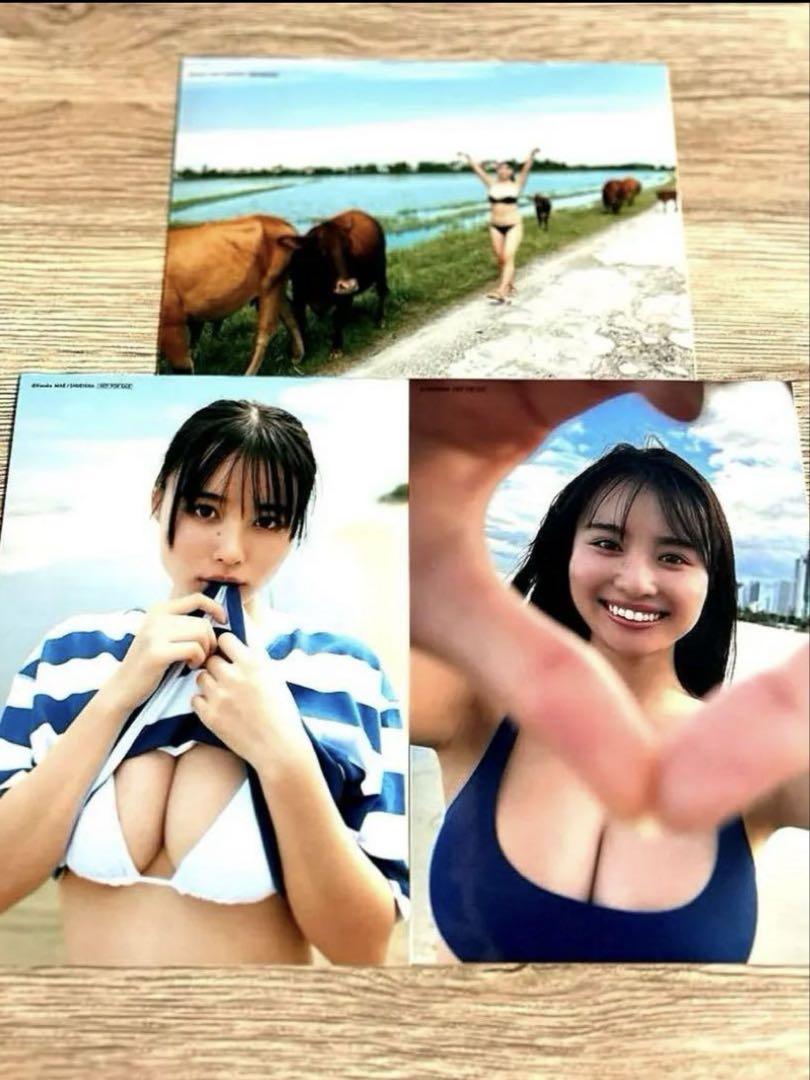 令和のラスボス豊島心桜写真集「心桜ばかり」15冊購入特典2L判生写真フルコンプ Amazon.co.jp: 【デジタル限定】豊島心桜写真集「続・心桜ばかり