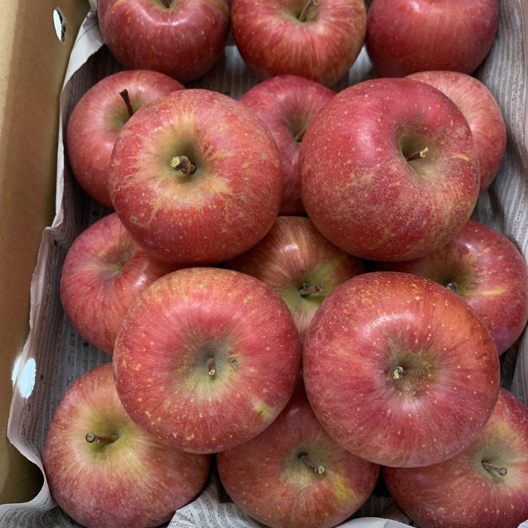 Amazon.co.jp: 山形県産 ご家庭用 りんご サンふじ 10kg(小玉
