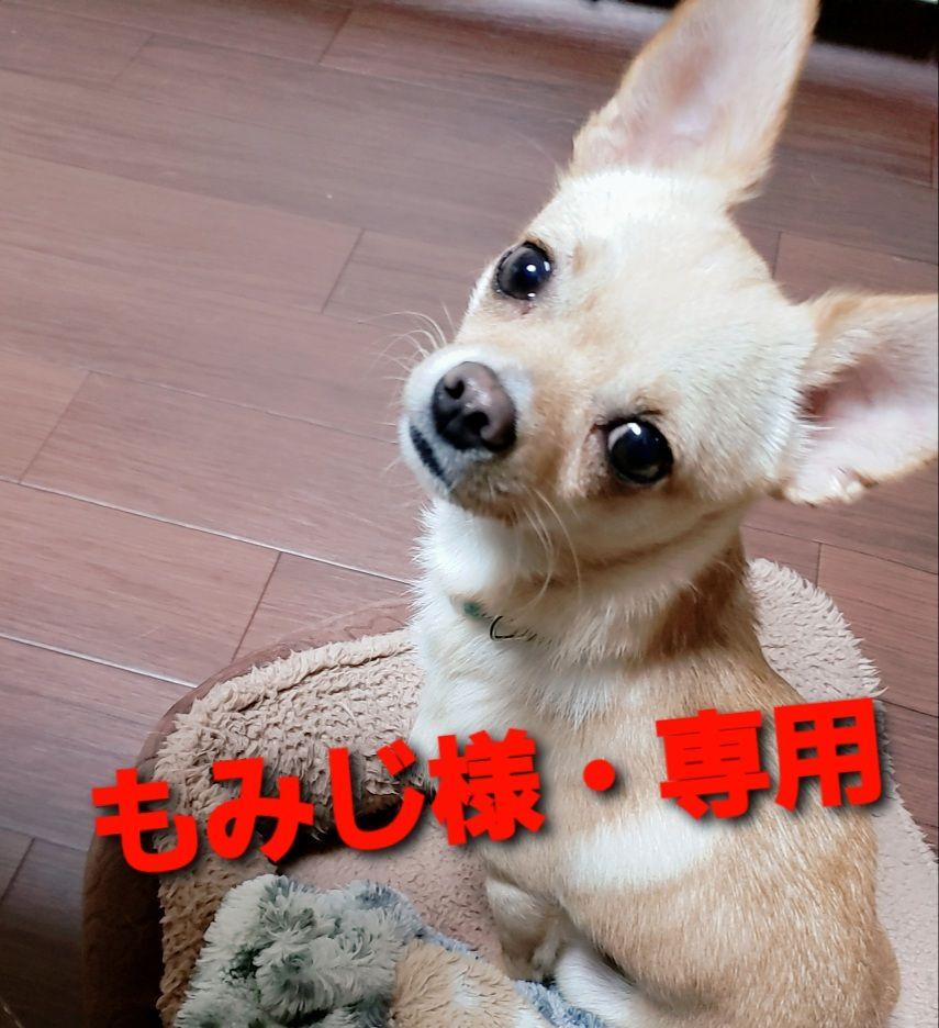 もみじ様・専用
