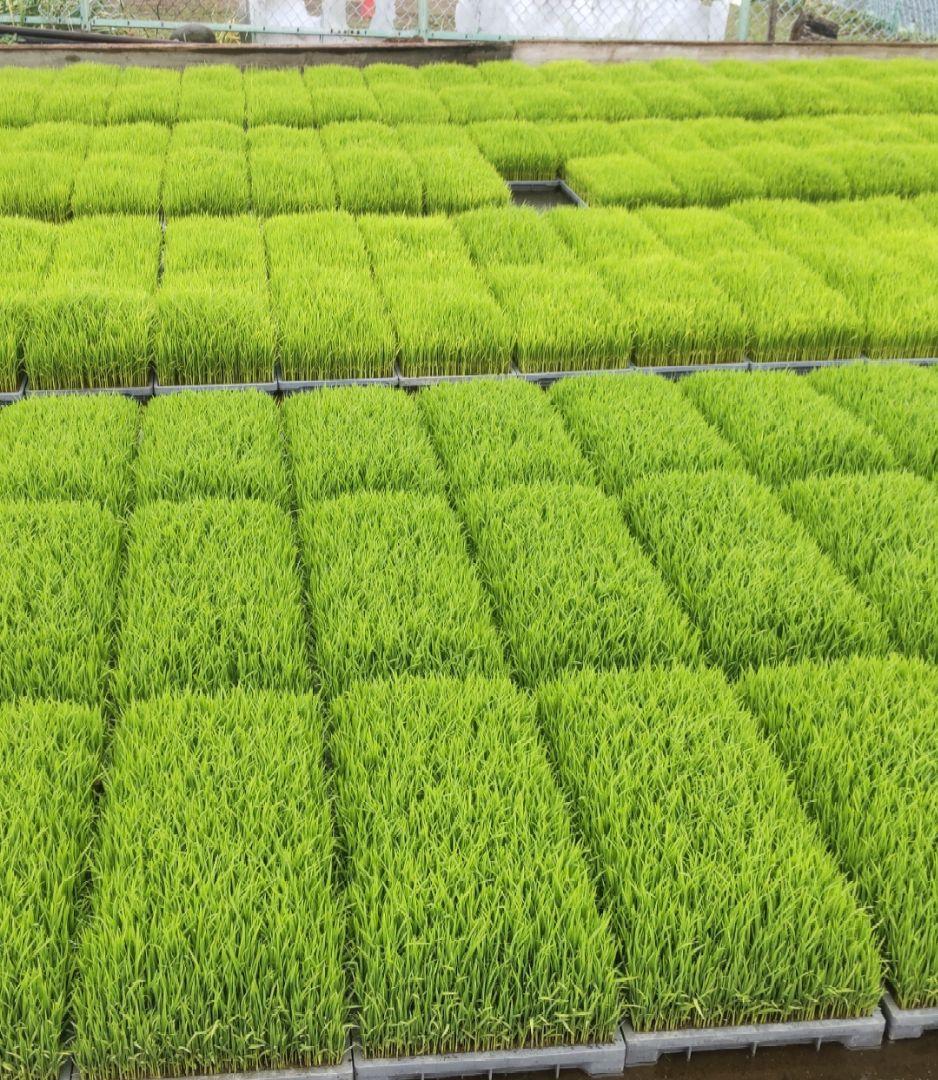 ゆうだい21 送料込み 総重量10kg リピート様割引