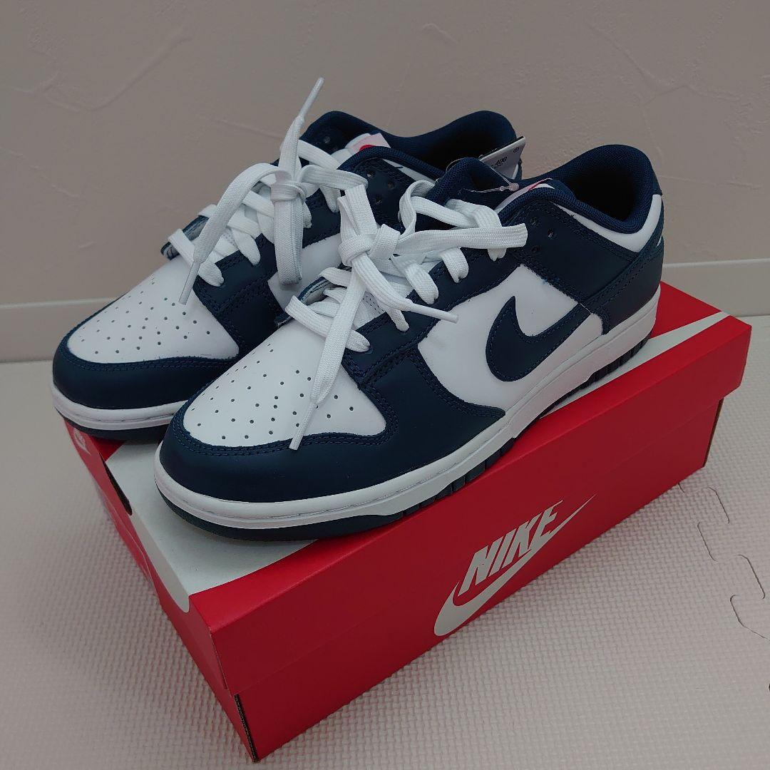 NIKE DUNK LOW RETRO ヴァレリアン