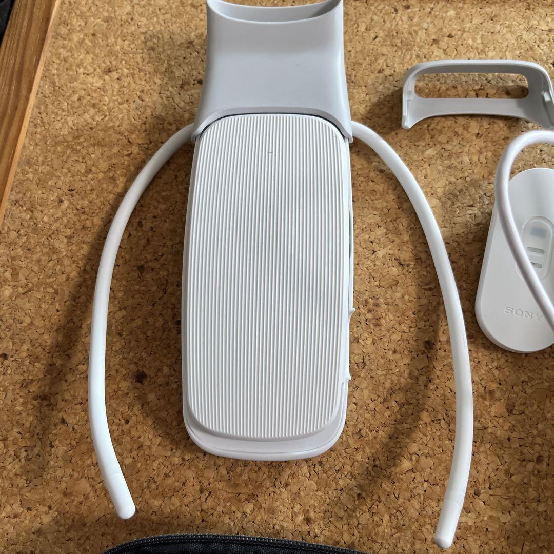 レオンポケット5 ソニー　レオンポケットケース付き