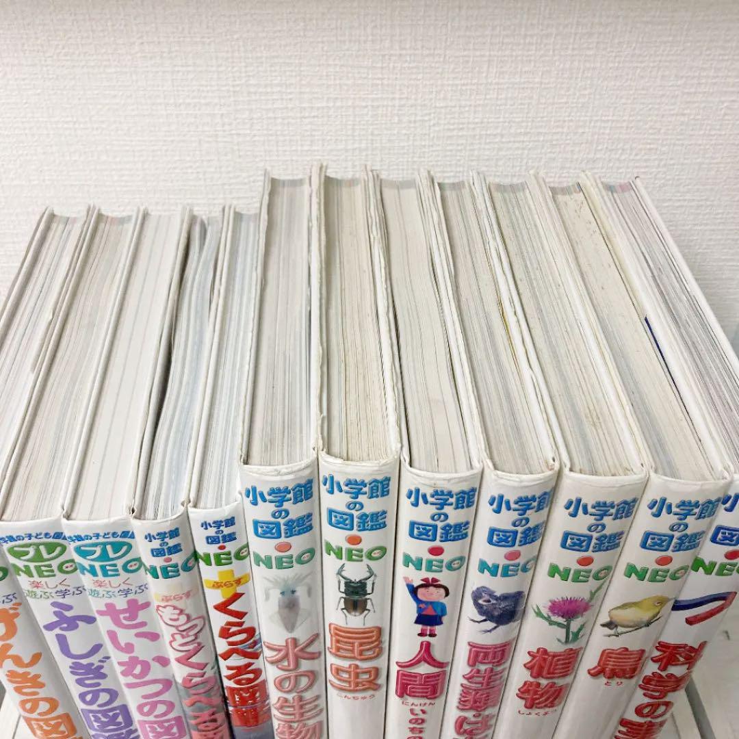 新作入荷得価 小学館の図鑑NEO 12冊セット UbkFf-m17943689256 プレネオ 即納得価