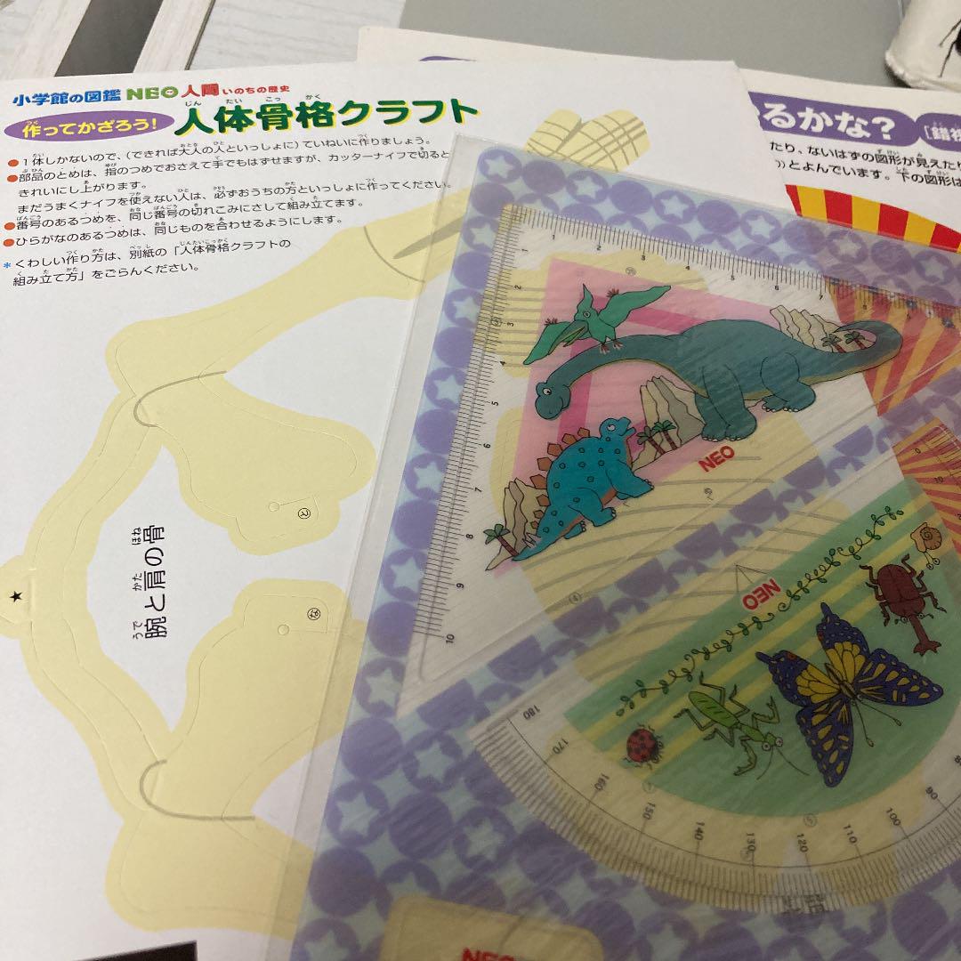 新作入荷得価 小学館の図鑑NEO 12冊セット UbkFf-m17943689256 プレネオ 即納得価