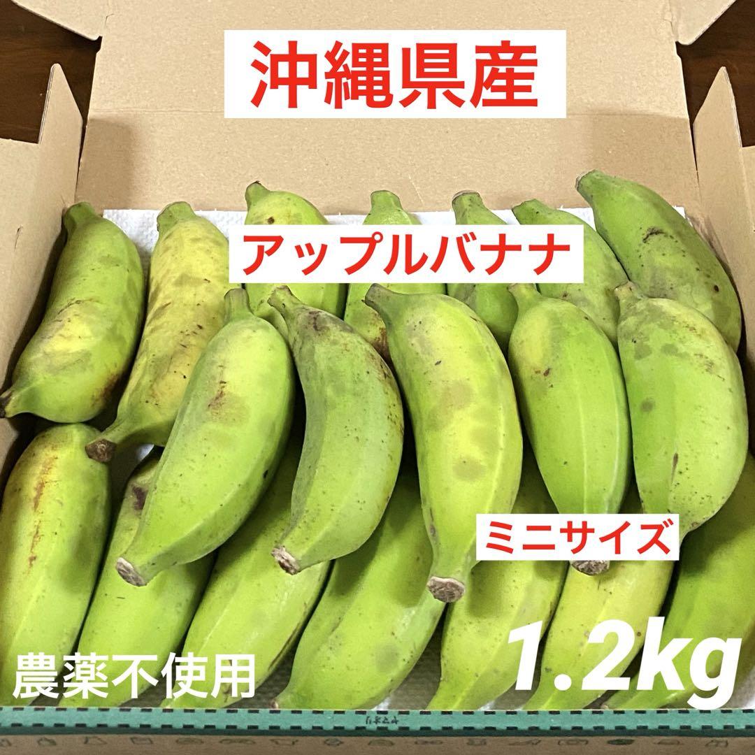アップルバナナ120cm 3本セット 沖縄県産☆アップルバナナ房なしバラ（ミニサイズ）コンパクト