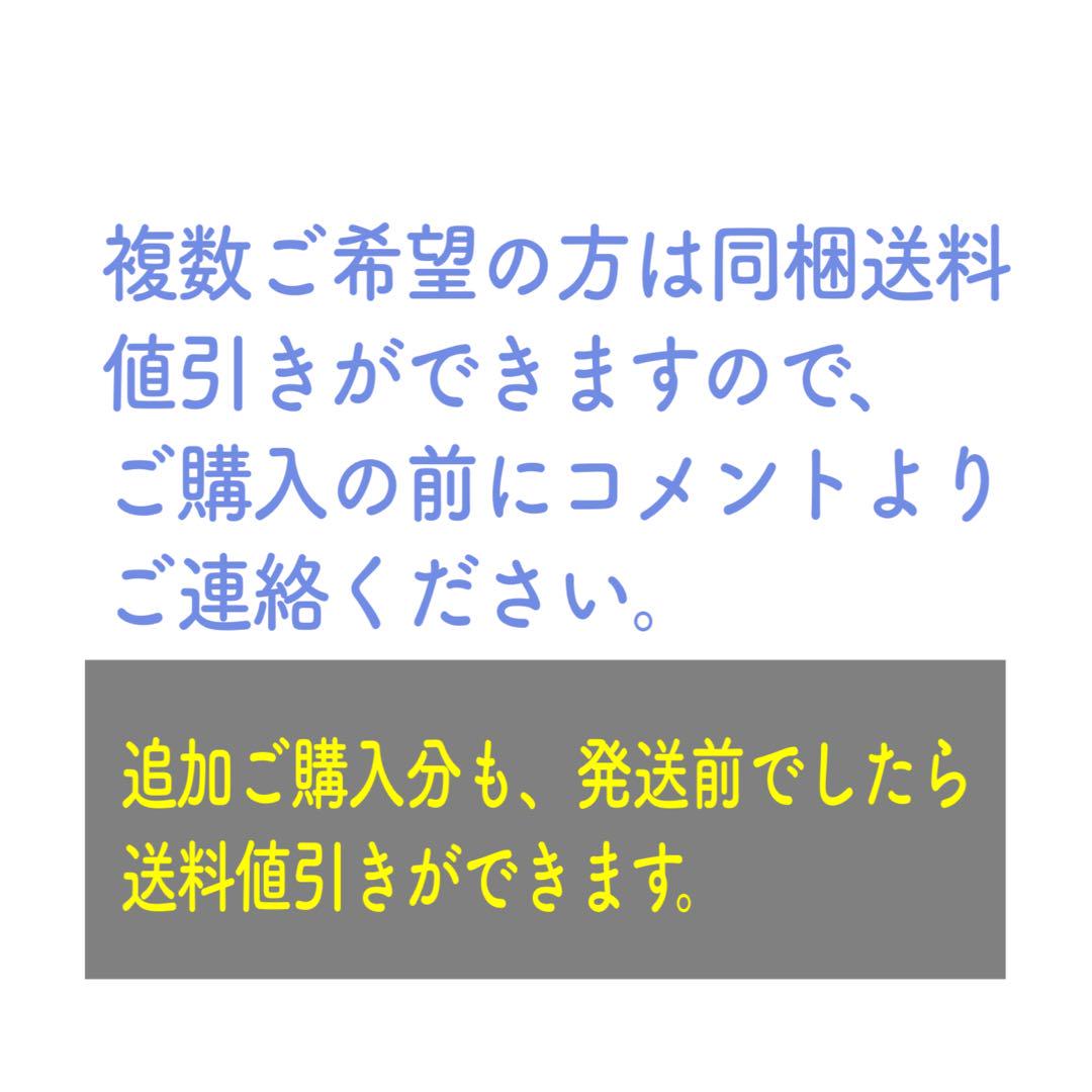 2025年干支の置物＊赤目白蛇×タイガーアイのオルゴナイト