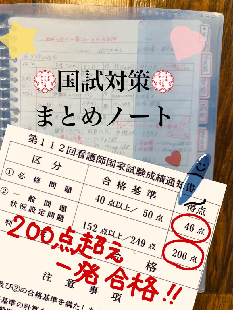 激安‼️ 看護師国家試験まとめノート 付箋ノート 国試 解剖