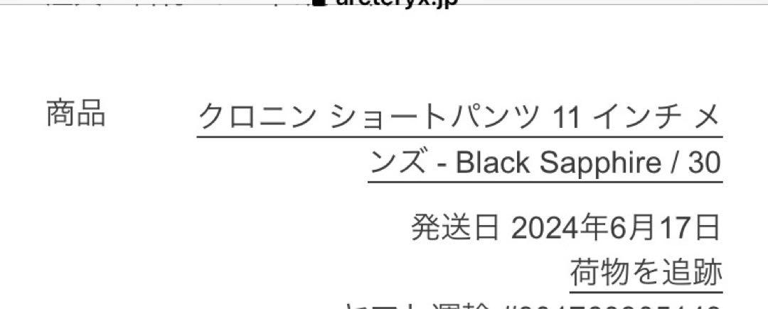 アークテリクス　クロニンショートパンツ11インチ