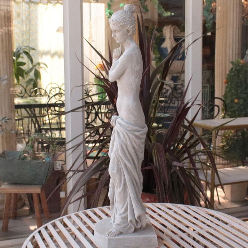 彫刻装飾 610-304