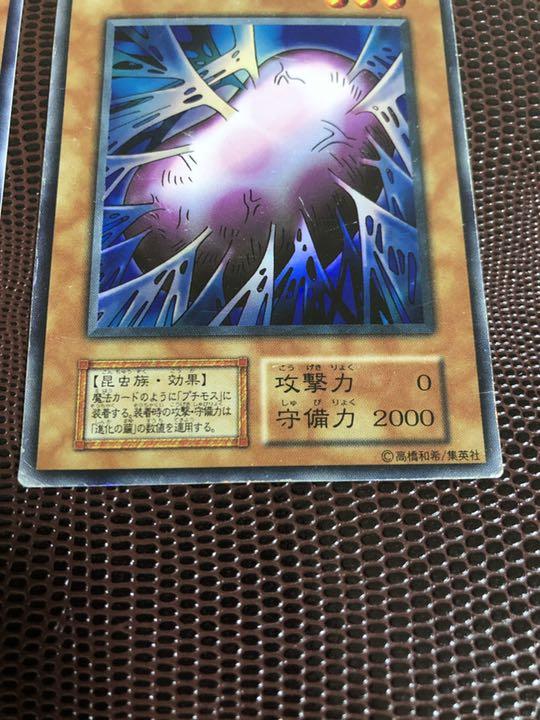 PSA10 進化の繭 遊戯王初期カード 遊戯王 進化の繭 初期 スーパーレア スタジオ・ダイス版 PSA9