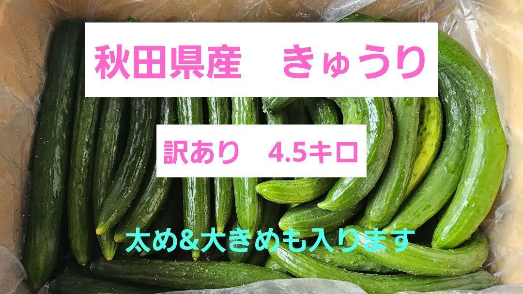 太め入りますので、お値下げ中♡【訳あり】秋田県産 きゅうり