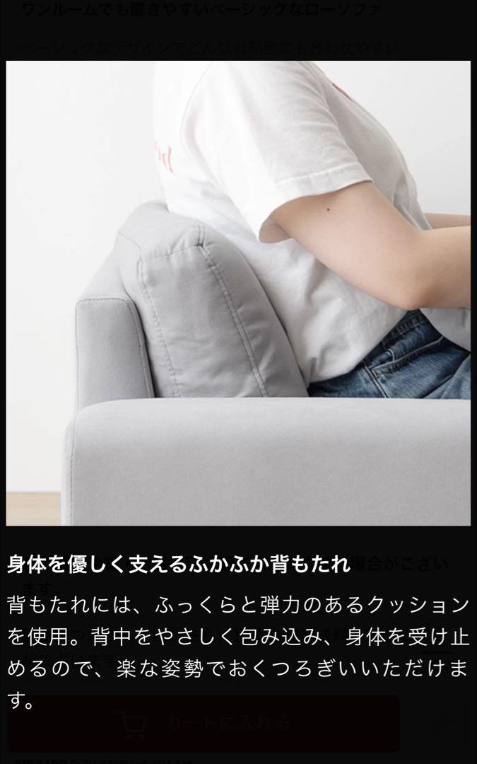 Lottie 2人掛けローソファ