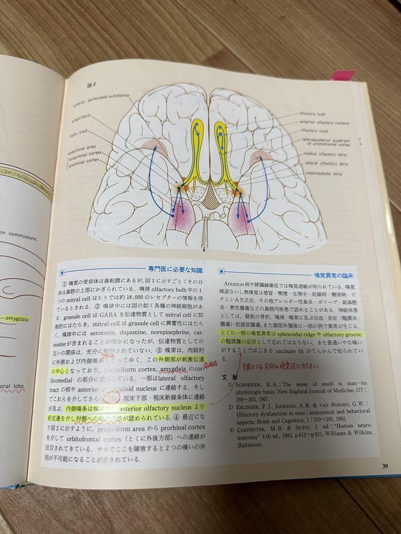 臨床のための神経機能解剖学