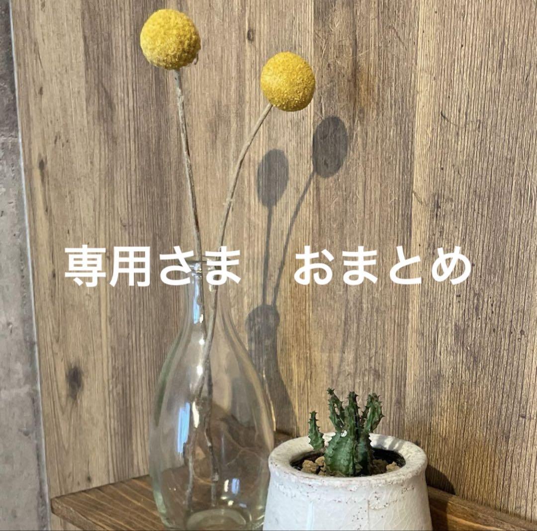 専用様 リクエスト 2点 まとめ商品