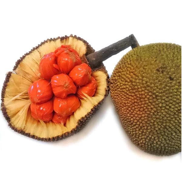 nasho様 リクエスト 2点 まとめ商品