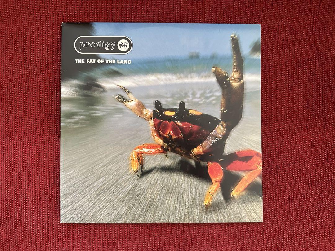 THE PRODIGY / The Fat of The Landその他一枚